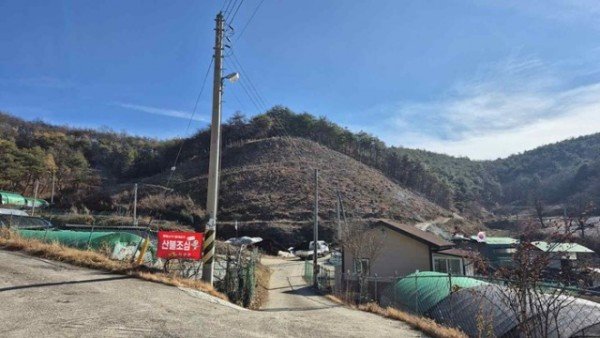 03의성군제공 산불피해목 벌채사업 1.jpg