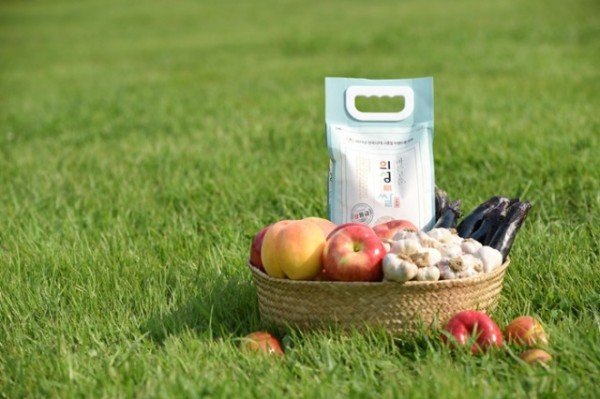 01의성군제공 의성진 브랜드.jpg