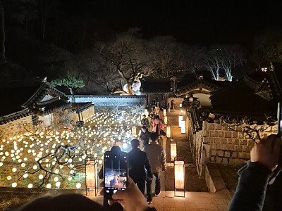 0324 도산서원 야간개장 ‘매화춘야(梅花春夜)’  이번 주말 ‘절정’ (1).jpg