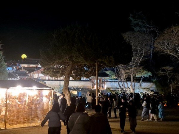 0324 도산서원 야간개장 ‘매화춘야(梅花春夜)’  이번 주말 ‘절정’ (2).jpg