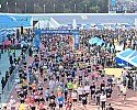 영주-1 출발신호와 함께 2026년 영주소백산마라톤 대회 참가자들이 출발을 하고 있다.jpg