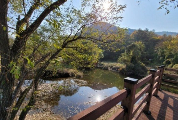 photo_2026-04-21 15.28.25.jpeg