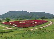 02의성군제공 사적지 작약 (1).jpg