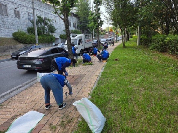 영주-11-4 상망동 바르게살기위원회 회원들이 웃무리마을 일원에서 인도변 풀뽑기를 하고 있다.jpg