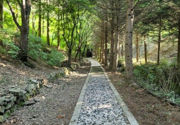 02의성군제공 금봉자연휴양림, 여름 숲캉스숲길체험즐기기2.jpg