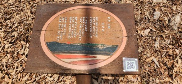 02의성군제공 금봉자연휴양림, 여름 숲캉스숲길체험즐기기4.jpg