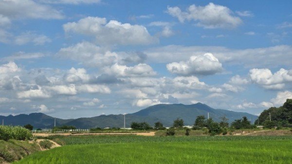 KakaoTalk_20260716_090004616_11.jpg