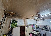 1_2faUd018svc7vmjzaw5wppy_tg3zvl.jpg