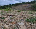 a_8c1Ud018svc12n4opulvmrf0_tg3zvl (1).jpg
