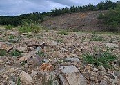 a_8c1Ud018svc12n4opulvmrf0_tg3zvl (1).jpg