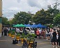 d_9deUd018svc1vac28n0zhzq7_tg3zvl.jpg