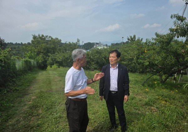 01의성군제공 복숭아농가 현장방문.jpg
