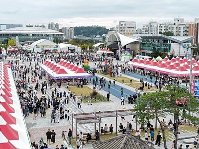 1003 자원봉사자가 함께 만드는 안동국제탈춤페스티벌.JPG