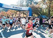 제15회_경상북도지사기_공무원마라톤대회12 (1).jpg